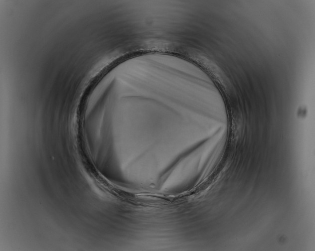 X0000102010674200808081725