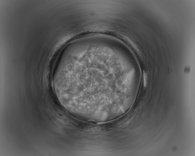 X0000102010675200808081725