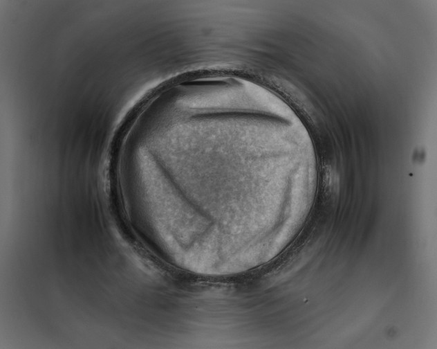 X0000102010676200808081725