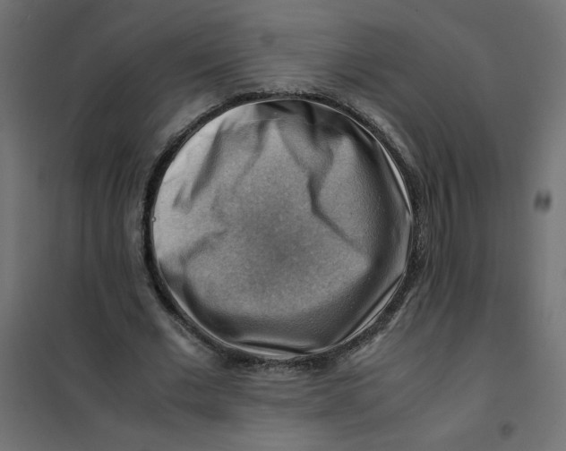 X0000102010677200808081725