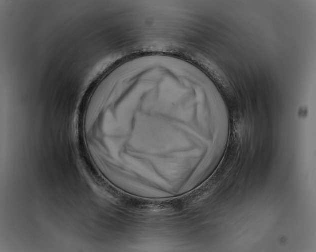 X0000102010678200808081725