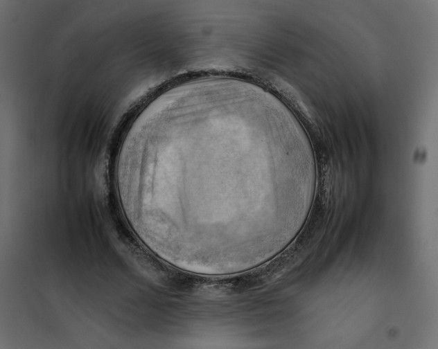 X0000102010680200808081725