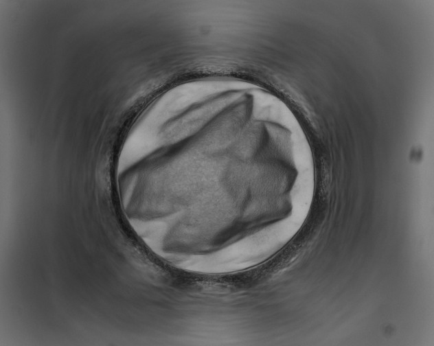 X0000102010681200808081725