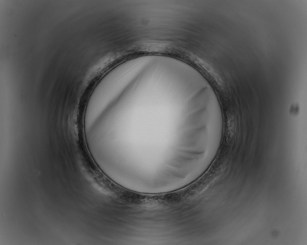 X0000102010682200808081725