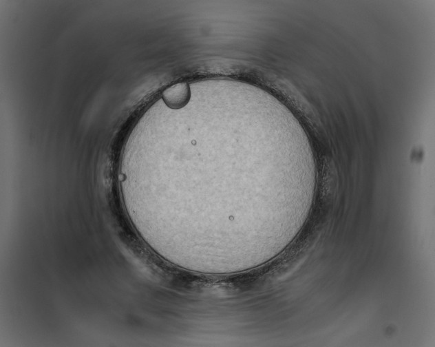 X0000102010683200808081725