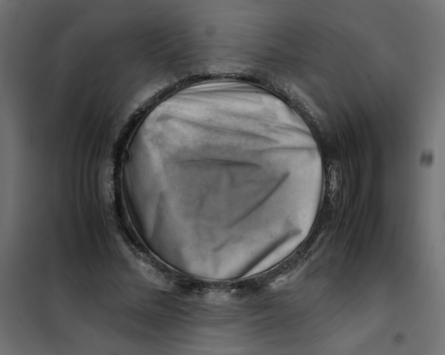 X0000102010684200808081725