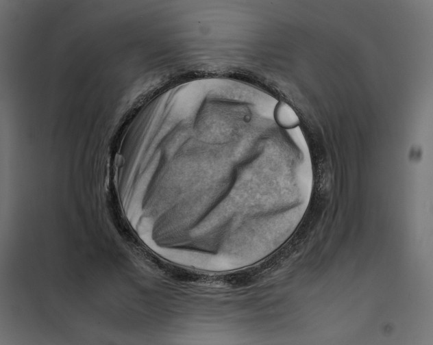 X0000102010685200808081725