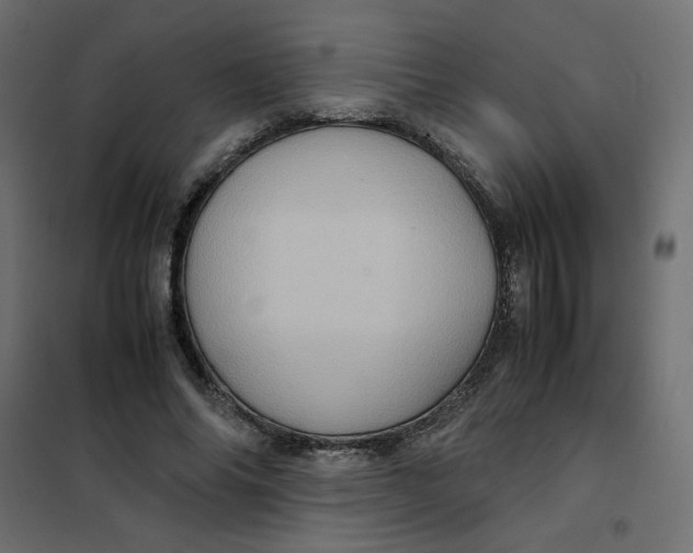 X0000102010686200808081725