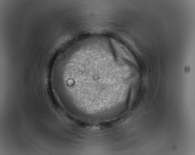 X0000102010687200808081725