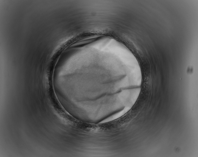 X0000102010688200808081725