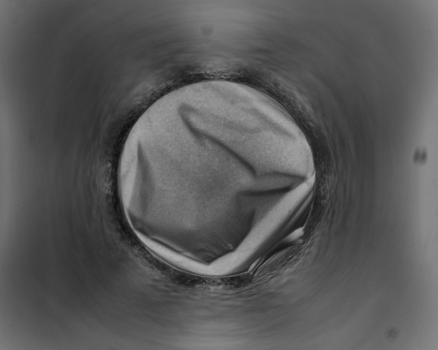 X0000102010689200808081725