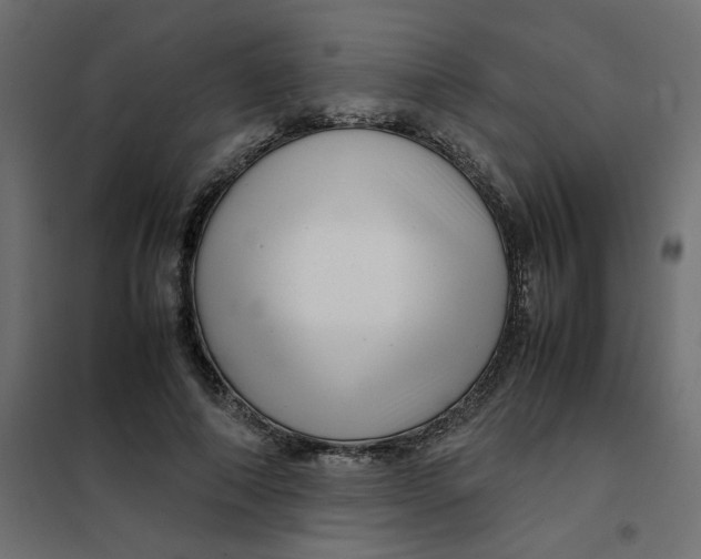 X0000102010690200808081725