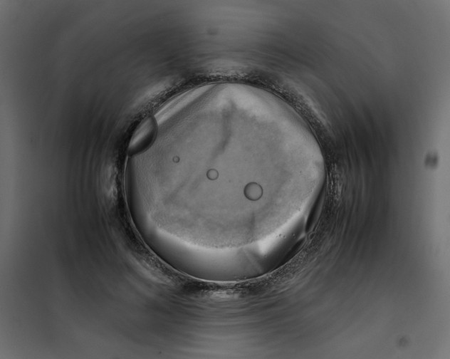 X0000102010692200808081725