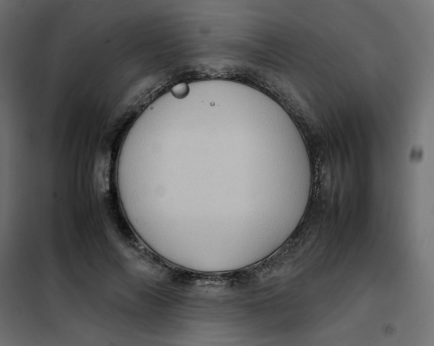 X0000102010694200808081725