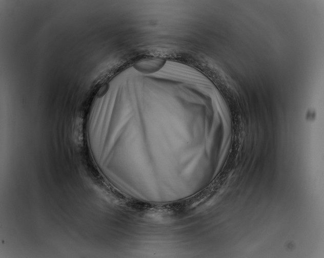 X0000102010696200808081725