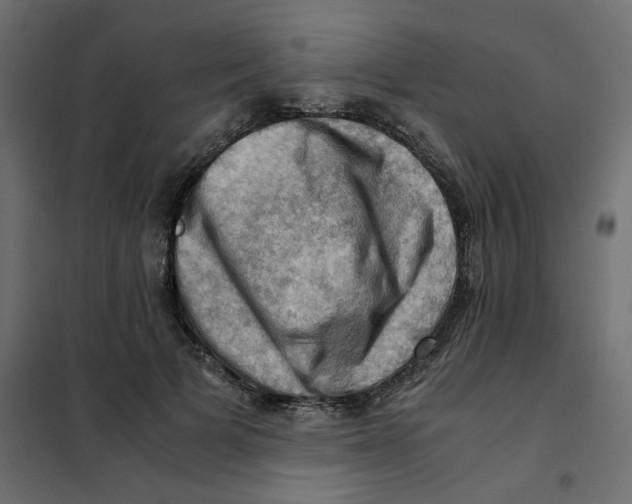 X0000102010697200808081725