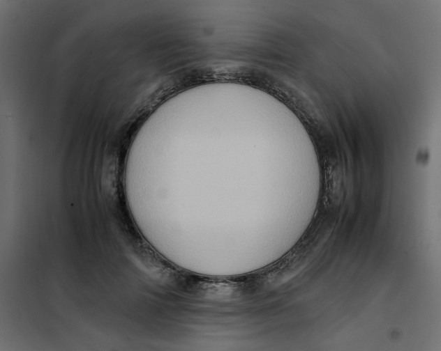 X0000102010698200808081725