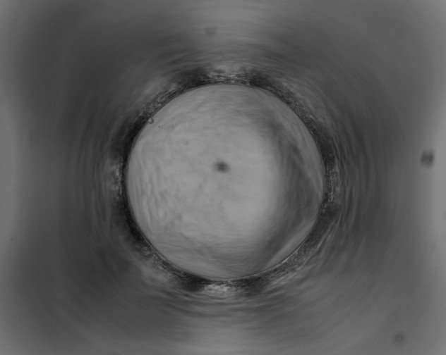 X0000102010699200808081725