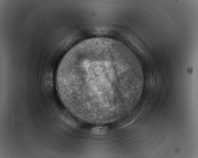 X0000102010700200808081725