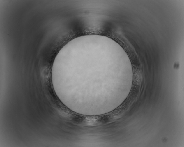 X0000102010701200808081724