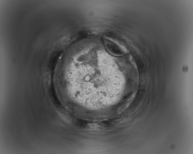 X0000102010703200808081724