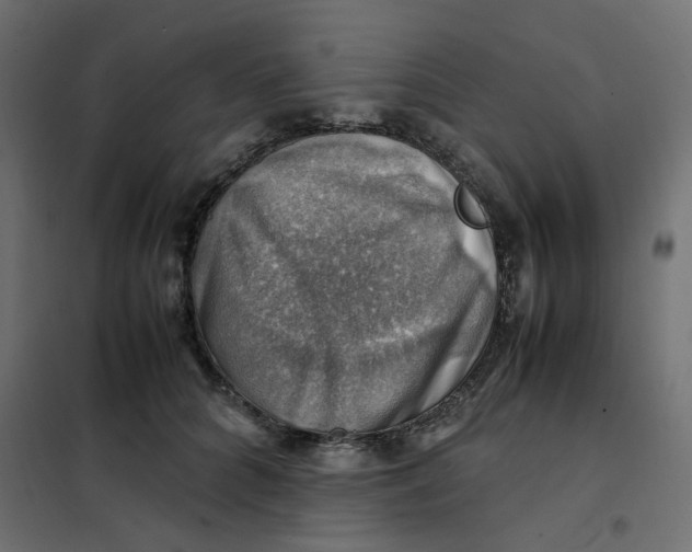 X0000102010704200808081724