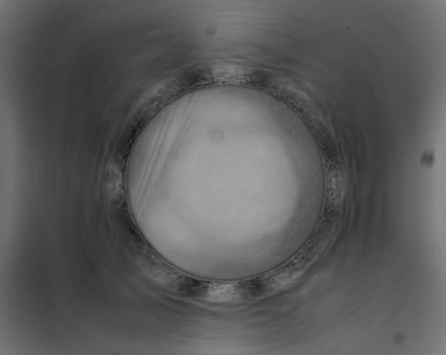 X0000102010705200808081724