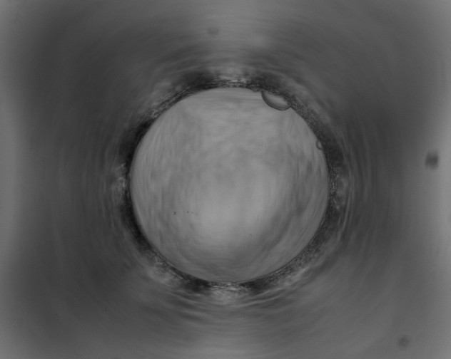 X0000102010707200808081724