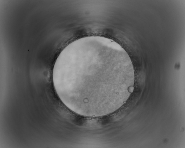 X0000102010709200808081724