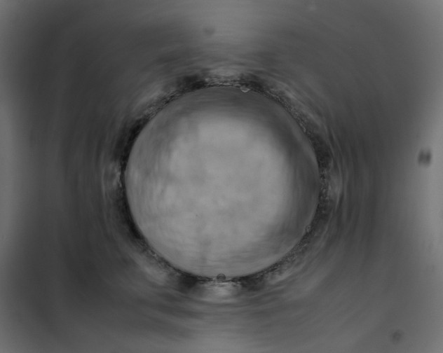 X0000102010711200808081724