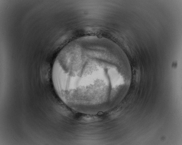 X0000102010712200808081724