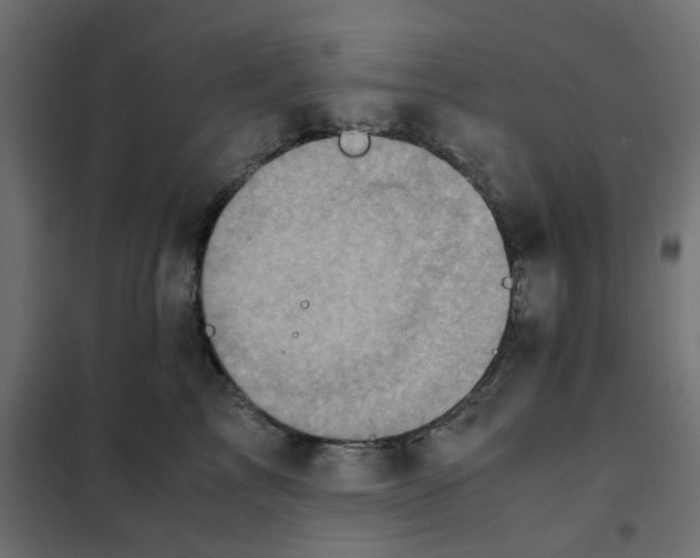 X0000102010713200808081724