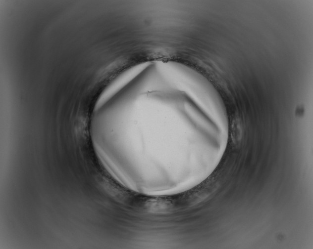 X0000102010714200808081724