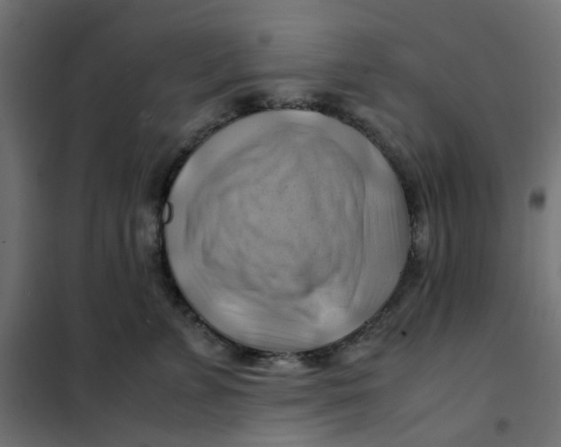 X0000102010715200808081724