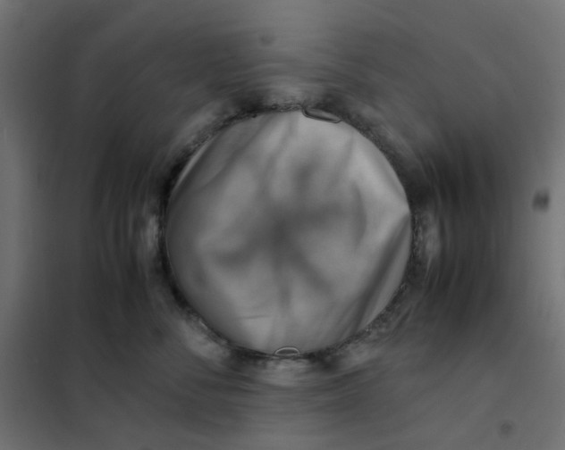 X0000102010716200808081724