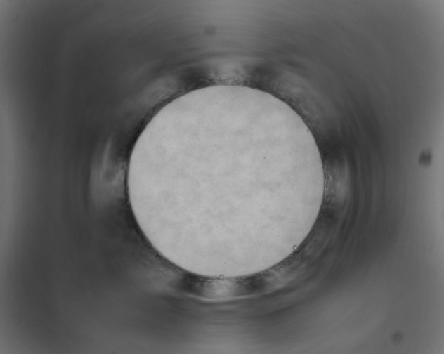 X0000102010717200808081724