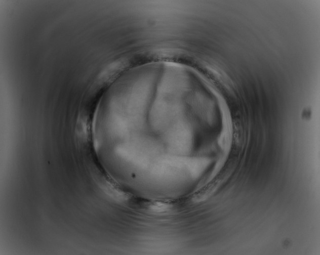 X0000102010718200808081724