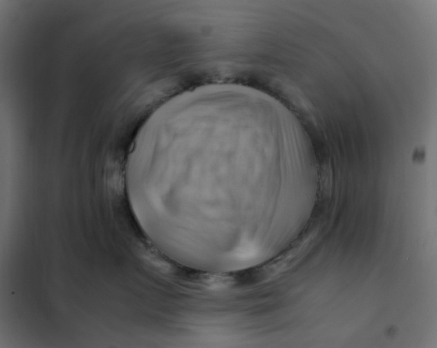 X0000102010719200808081724