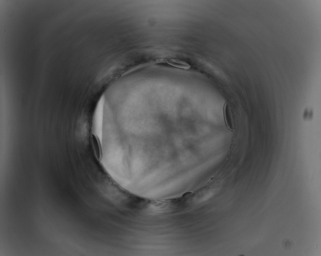 X0000102010720200808081724