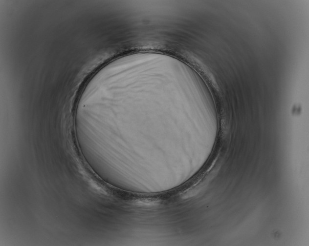 X0000102010721200808081723