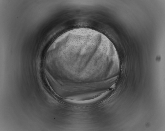 X0000102010722200808081723