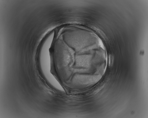 X0000102010723200808081723