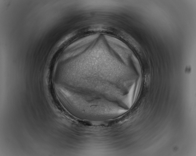 X0000102010724200808081723