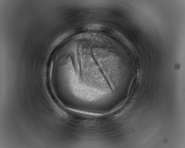 X0000102010725200808081724