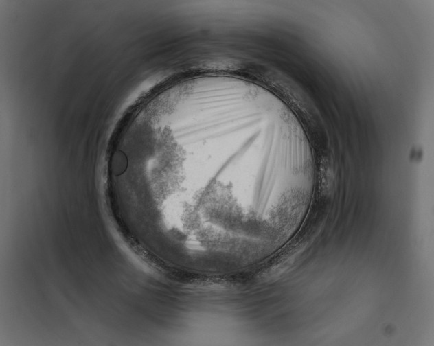 X0000102010726200808081724