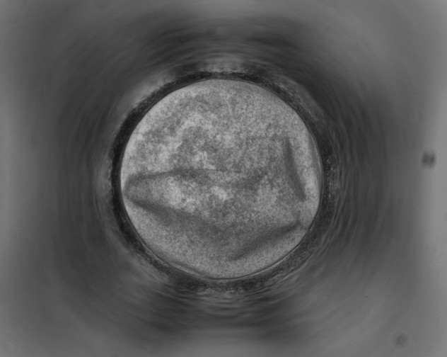 X0000102010727200808081724