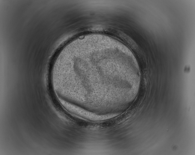 X0000102010728200808081724