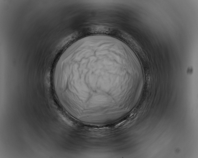 X0000102010729200808081724