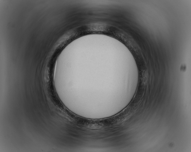 X0000102010731200808081724