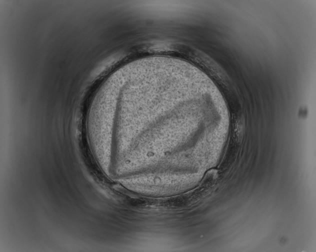 X0000102010732200808081724